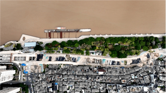 【新华网】海风吹拂千年，盛开越发深入——J9集团的“前世今生”观察